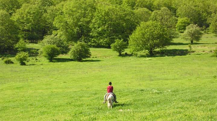 روستاهای عجیب ایران؛ تماشای عجایب شگفت‌انگیز در روستاهای ایران