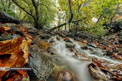 باران پاییزی تهران – خبرگزاری آنا