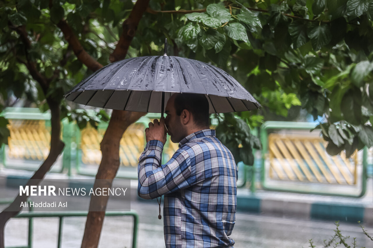 بارش اولین باران پاییزی در شیراز – آفتاب نو |  اخبار ورزشی